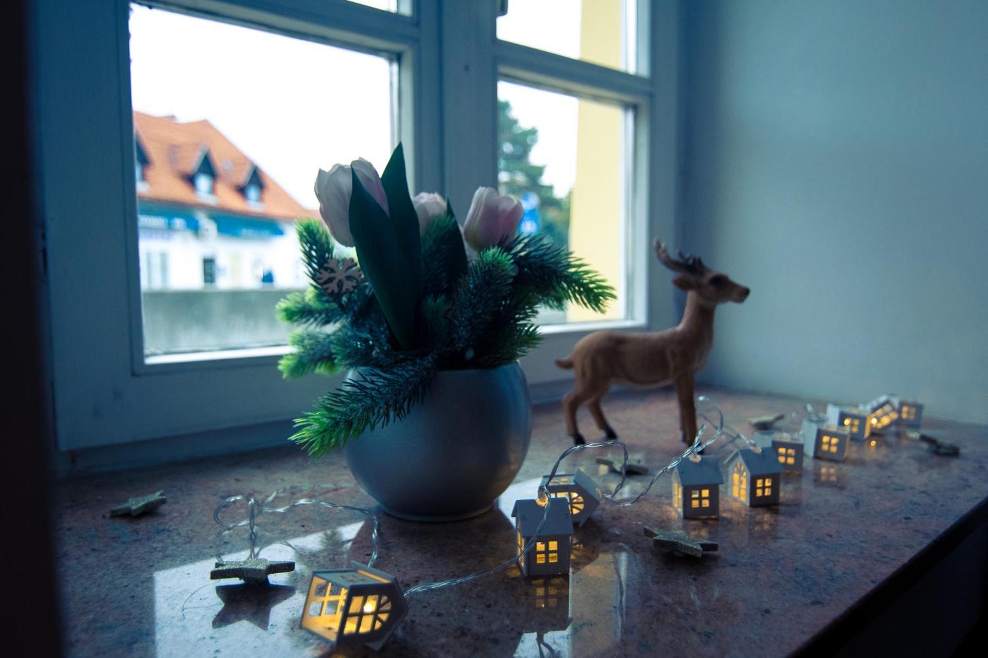 Apartment Rudi *