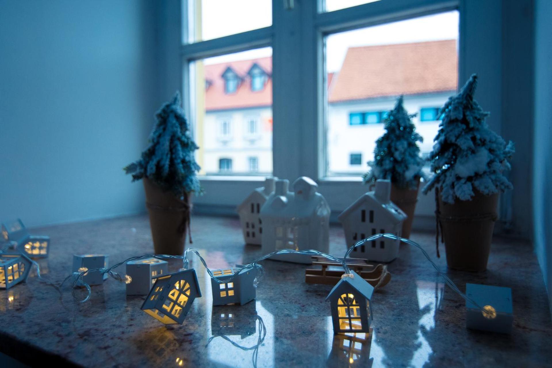 Rudi * Samobor