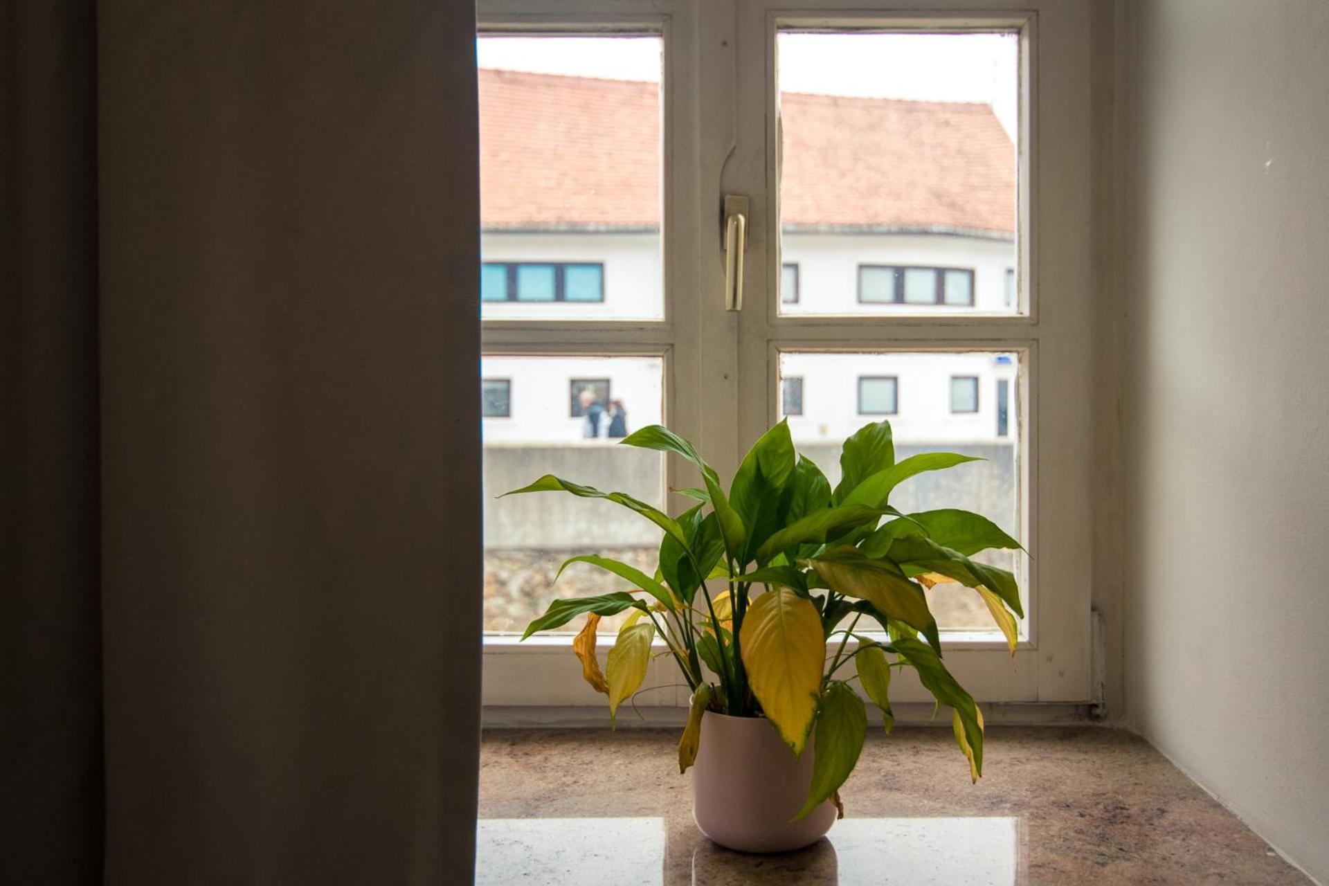 Apartment Rudi Samobor