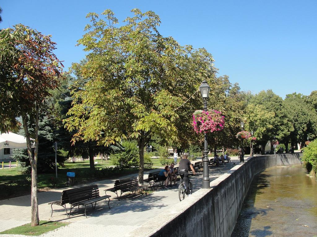 Rudi * Samobor